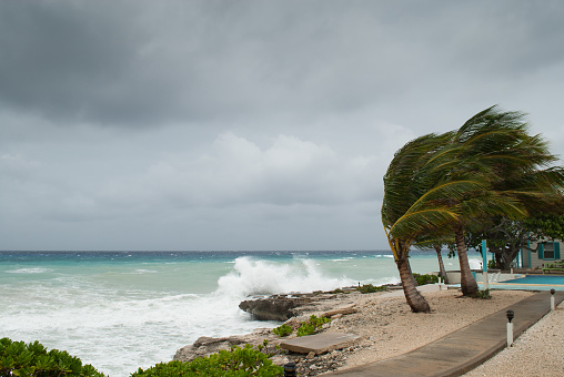 Hurricane storm surge in the Caribbean