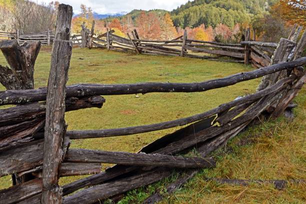 istock Chilean Patagonia 1165428292