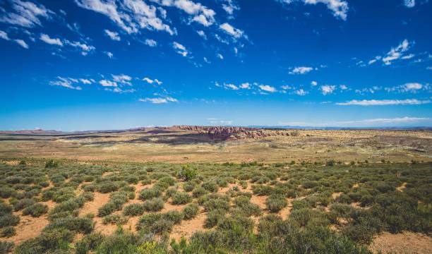 istock red rocks in the distance 1165428414