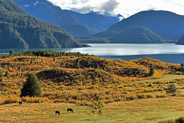 istock Chilean Patagonia 1165428433