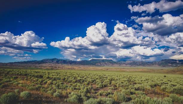 istock vast meadow with mountains in distance 1165429309