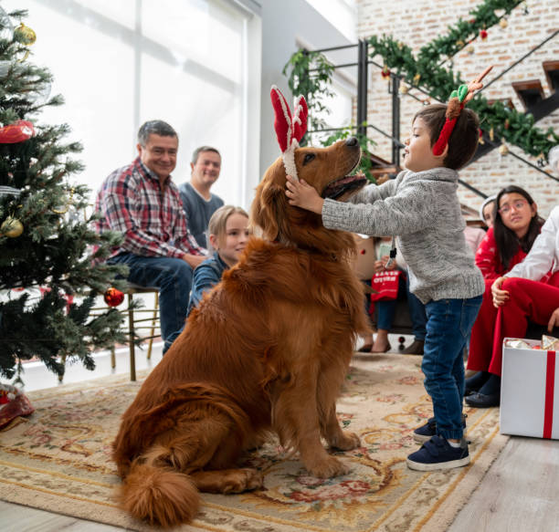 istock Little boy celebrating Christmas and playing with his dog 1165432345