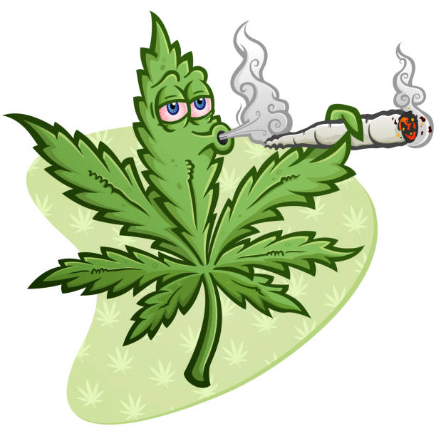 Marijuana Cartoon Character Smoking a Joint Blowing Smoke A cheerful marijuana vector cartoon character getting high and smoking a huge rolled up pot joint and blowing smoke bong vector stock illustrations