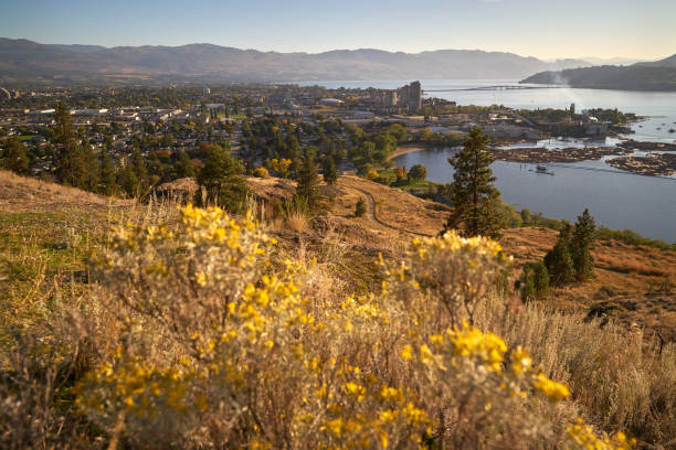 istock Kelowna British Columbia High Angle View 1165433172