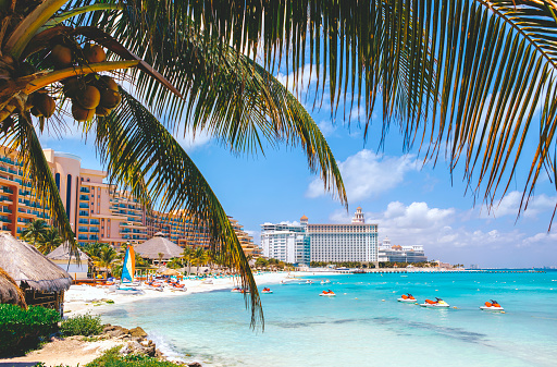 Playa de Cancún con hoteles y árbol de plam en primer plano photo