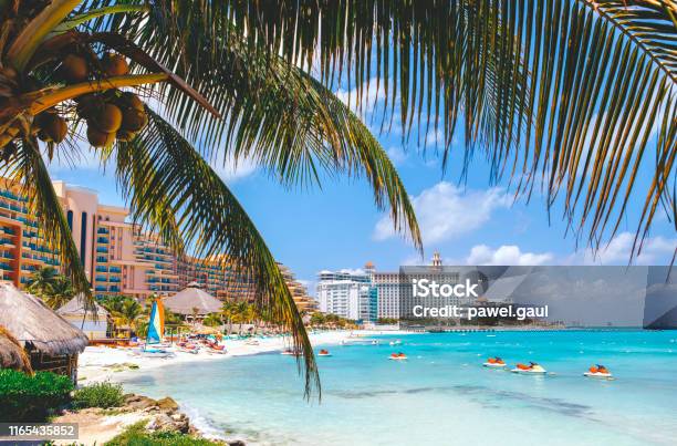 Cancun Beach With Hotels And Plam Tree In Foreground Stock Photo - Download Image Now
