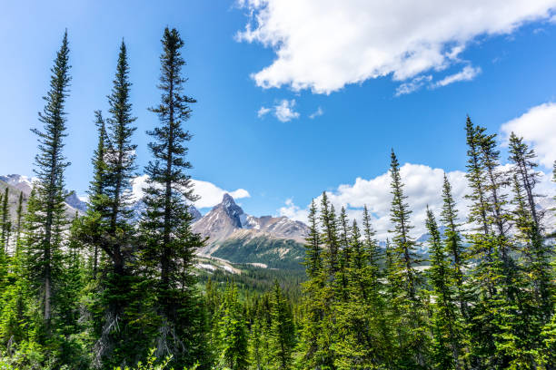 istock Hilda Peak in Jasper National Park on the Icefields Parkway 1165437138