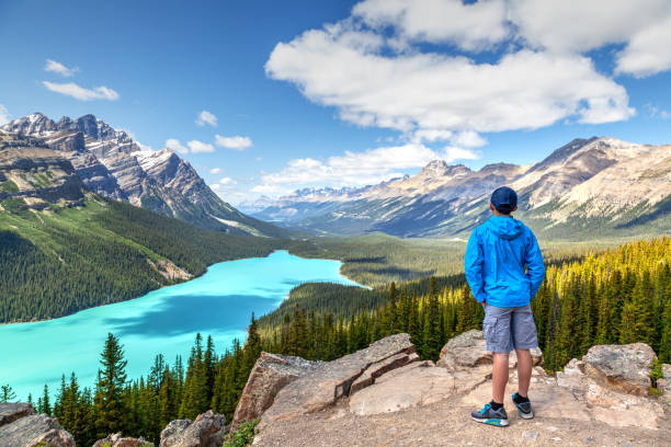 istock Peyto Lake in Banff National Park on Icefields Parkway 1165437192