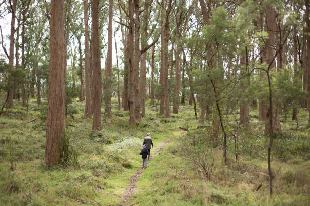 istock Family walking in the forest 1165439471