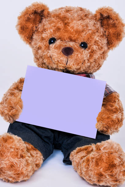 istock Teddy bear holding a blank purple sign isolated on white background 1165441328