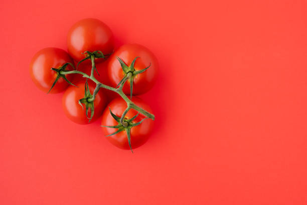 istock Red Tomatoes Close Up. Fresh Organic Tomatoes on Red Background, Directly from Above with Copy Space. Group of Objects, Healthy Eating, Healthy Lifestyle, Product 1165444366