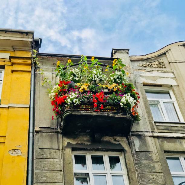 Colorful garden at the balcony, Cracow, Poland