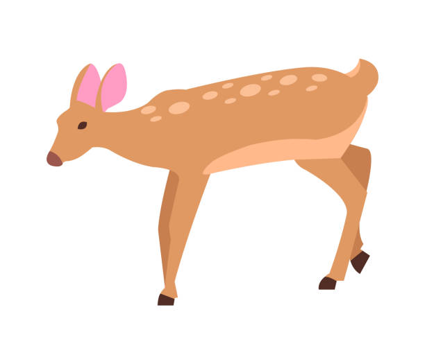 взрослый доу изолированный вектор в мультфильме стиль значок - stag deer doe cartoon stock illustrations