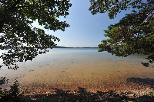 summer nature landscape on lake Beloe on the Kurgalsky Peninsula in St. Petersburg, Russia