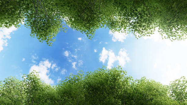 istock Frame of green leaves. 3D illustrator 1165460809
