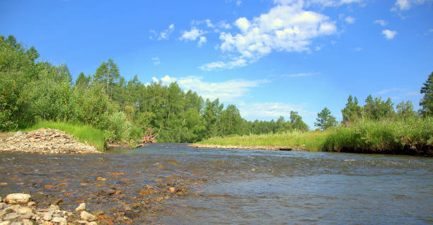 istock A shallow river sandwiched in stony banks covered with grass flows through the valley. Ursul River, Altai, Siberia. Landscape. 1165462838