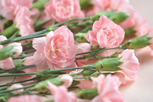 Wedding bouquet, pink roses bouquet