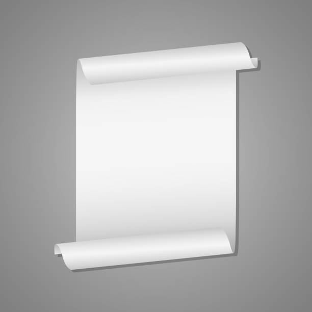 ilustraciones, imágenes clip art, dibujos animados e iconos de stock de ilustración de diseño vectorial de maqueta de desplazamiento blanco desenrollado aislado en fondo gris - rolled paper