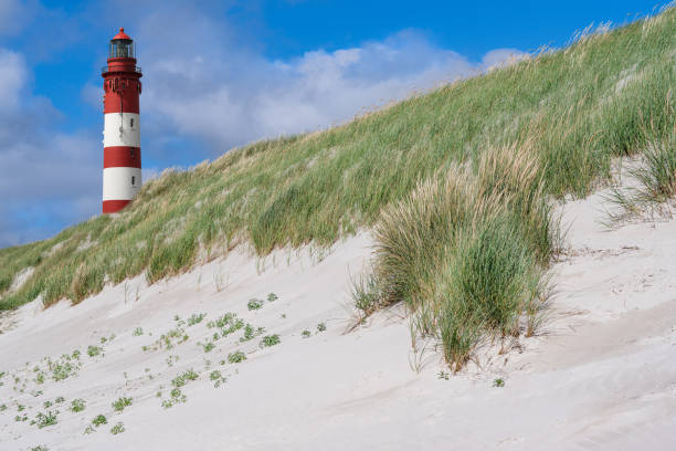 istock beautiful, old lighthouse, dunes, white sand and grass on the beach 1165466816