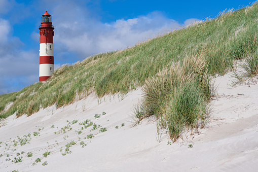 beautiful, old lighthouse red white in the dunes, white sand and grass, grasses on the beach and blue sky in the summer