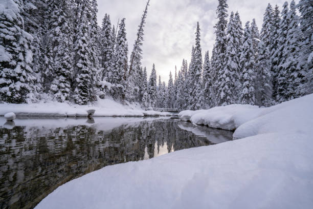 A river landscape covered in fresh snow.
