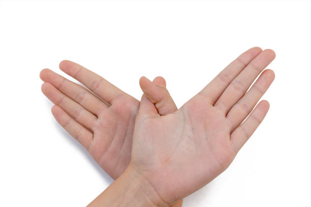 istock hands creating the shape of bird isolated on white 1165478705