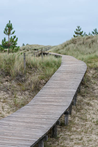 istock Boardwalk through dune on island, Amrum or Sylt 1165479084