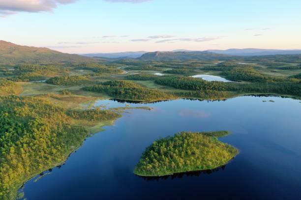 istock Lakes and forests at the golden hour 1165479278