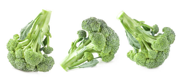 Broccoli isolated on white background Broccoli isolated on white background brokoli stock pictures, royalty-free photos & images