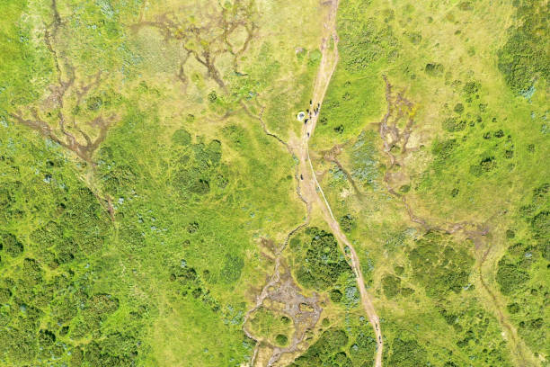 istock Green wilderness seen from above 1165480057