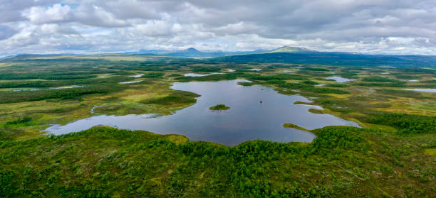 istock Big lake in the forest 1165480108