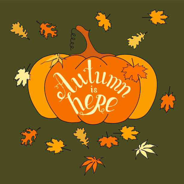 istock Happy Fall lettering typography vintage banner orange pumpkin 1165480321