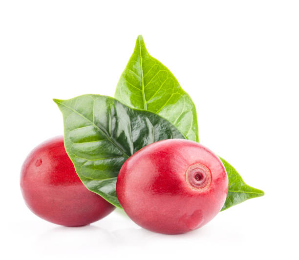 istock Red coffee beans isolated on white background with clipping path 1165483145