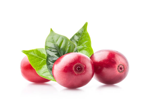 istock Red coffee beans isolated on white background with clipping path 1165483199