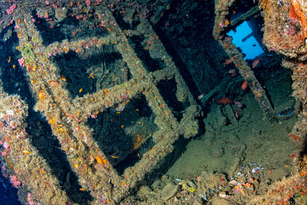 istock liberty Ship Wreck in bali indonesia indian ocean 1165483305