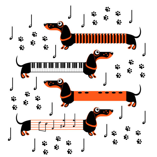 istock Dachshund dogs in the form of musical instruments and notes 1165485198