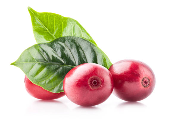 istock Red coffee beans isolated on white background with clipping path 1165487872