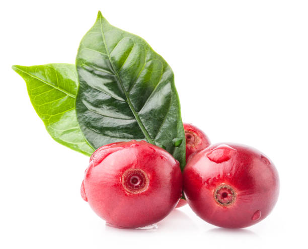 istock Red coffee beans isolated on white background with clipping path 1165487910