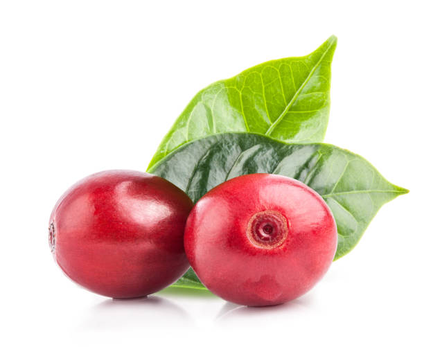 istock Red coffee beans isolated on white background with clipping path 1165487938