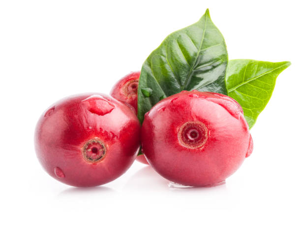 istock Red coffee beans isolated on white background with clipping path 1165487944