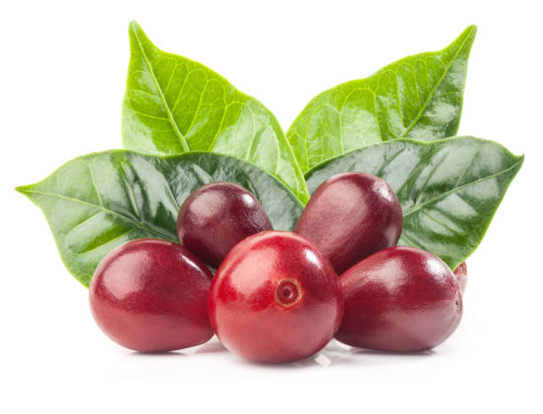 istock Red coffee beans isolated on white background with clipping path 1165487948