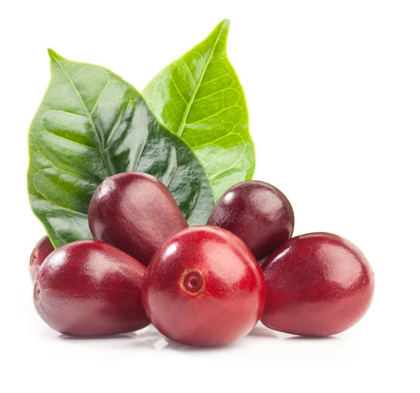 istock Red coffee beans isolated on white background with clipping path 1165487958