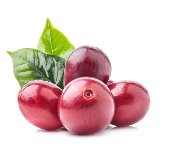 istock Red coffee beans isolated on white background with clipping path 1165488055
