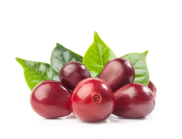 istock Red coffee beans isolated on white background with clipping path 1165488076