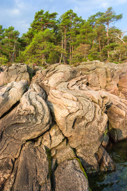 istock Fold rocks at a beach in beautiful sunlight 1165489716