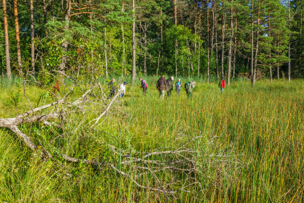 istock Group of people on excursion in a forest swamp 1165490425