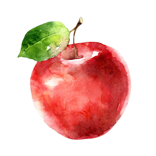 ilustraciones, imágenes clip art, dibujos animados e iconos de stock de manzana roja acuarela aislada sobre fondo blanco - apple