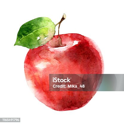 istock Watercolor red apple isolated on white background 1165491796