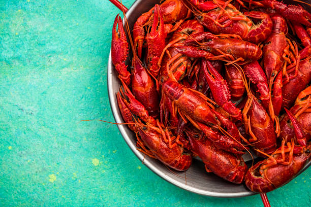 istock Red Crayfish, Close Up View with Detail, From Above 1165492557