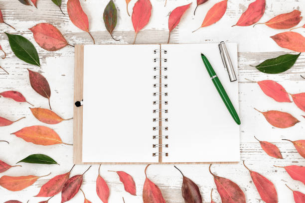 istock autumn fall flat lay, top view arrangement, colourful autumn leaves on white background, flat lay, top view, copy space 1165493330